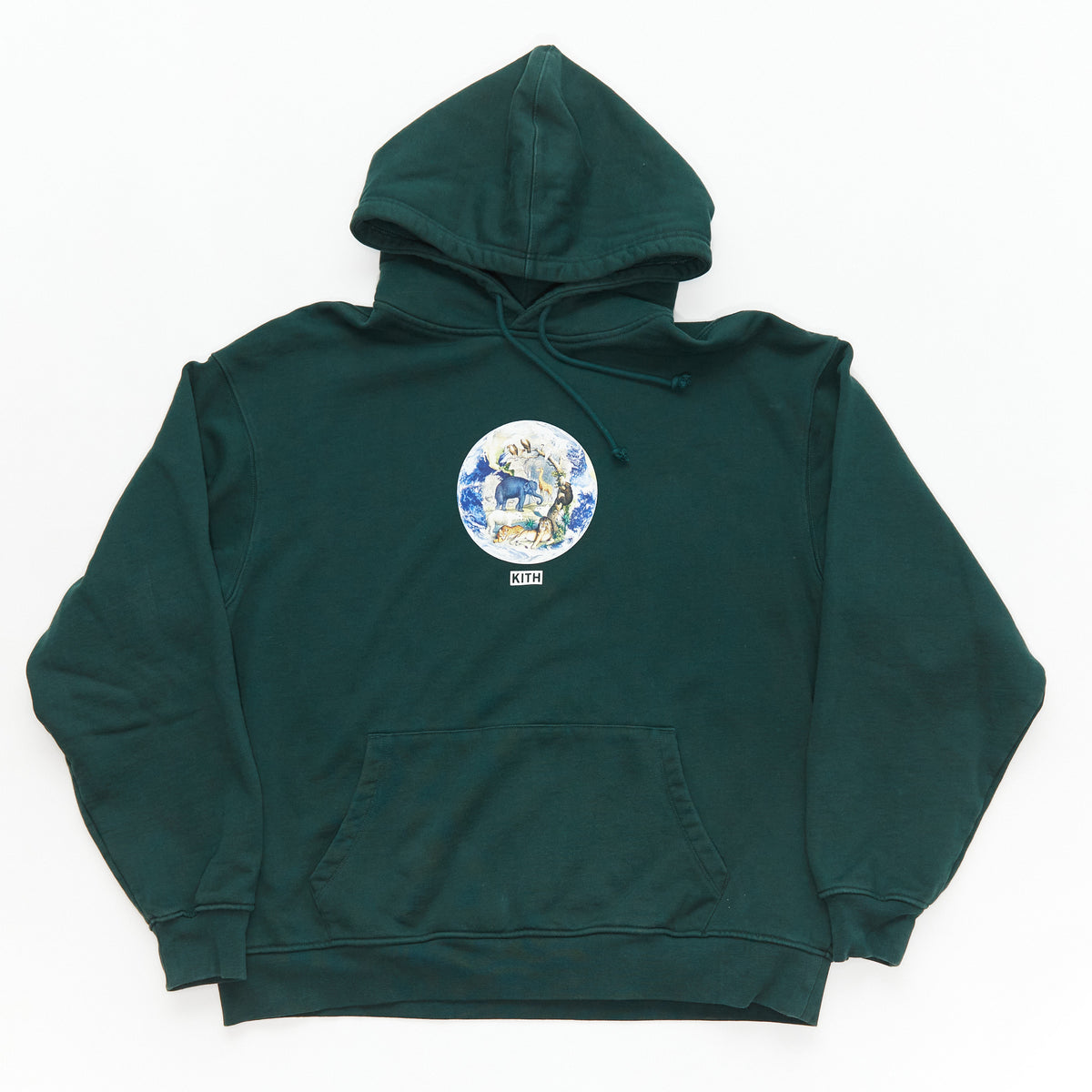 Kith Save The Earth Hoodie – Closet Tours