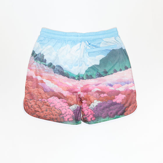 Kith Printed Jordan Mesh Short