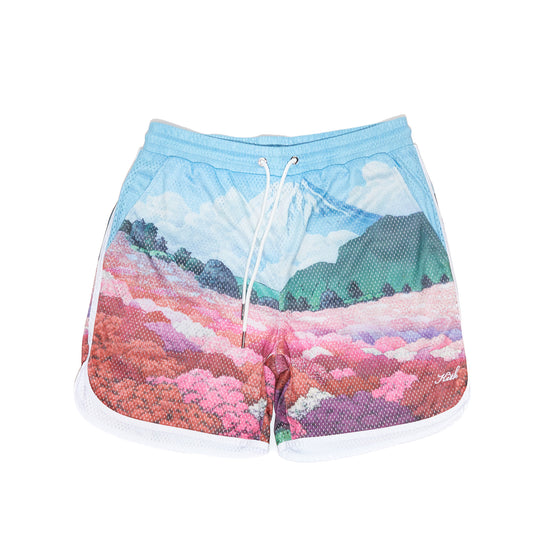 Kith Printed Jordan Mesh Short